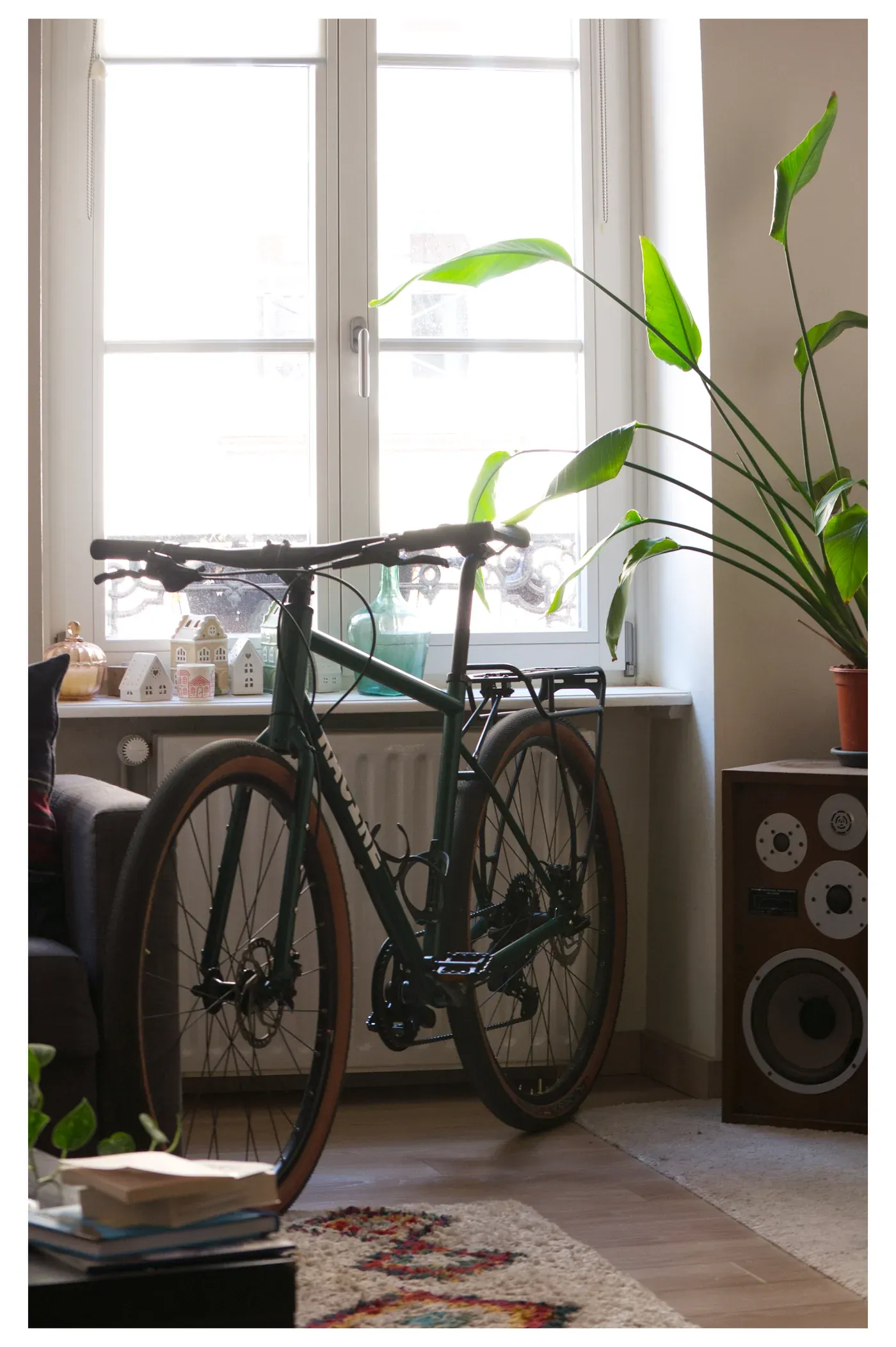 Vélo Racine vert mousse avec porte-bagages, rangé près d'une fenêtre dans un intérieur