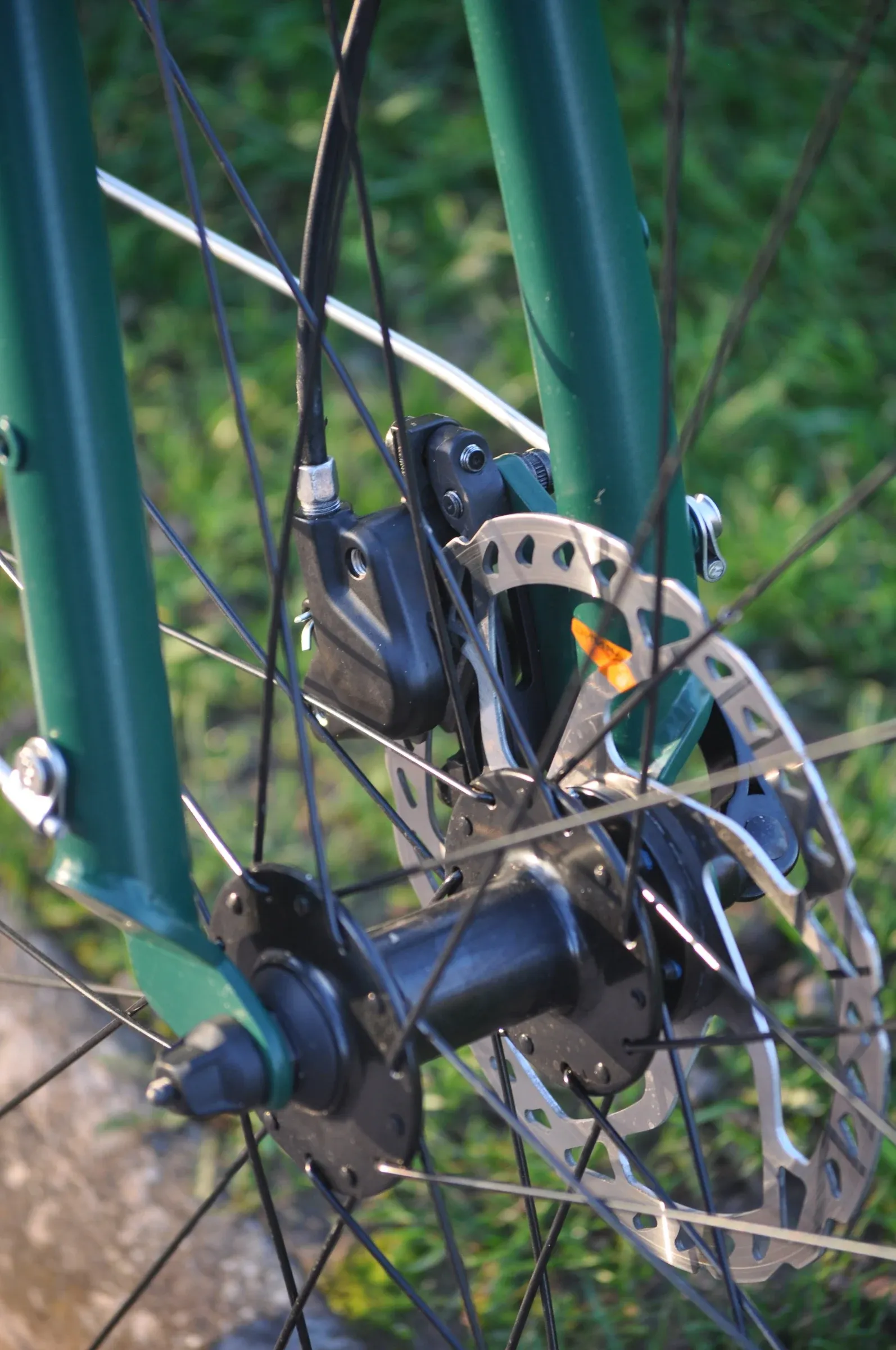 Frein à disque avant monté sur la fourche Racine vert mousse, moyeu et rayons nets