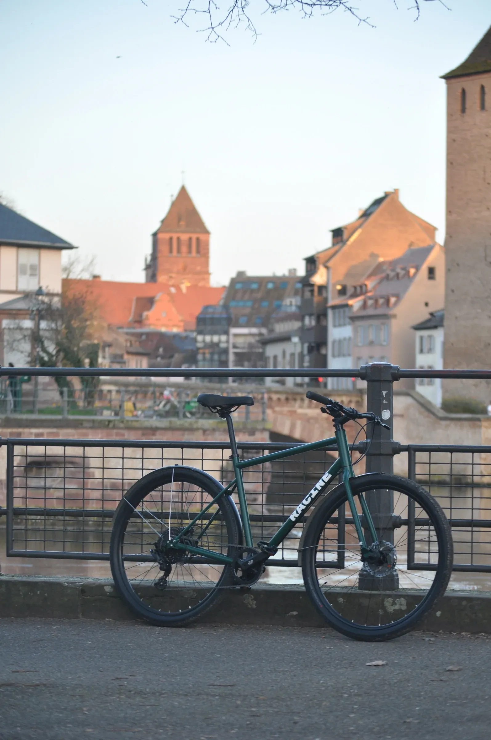 Vélo Racine vert mousse contre la rambarde d'un pont sur l'Ill, toits et clocher de Strasbourg derrière